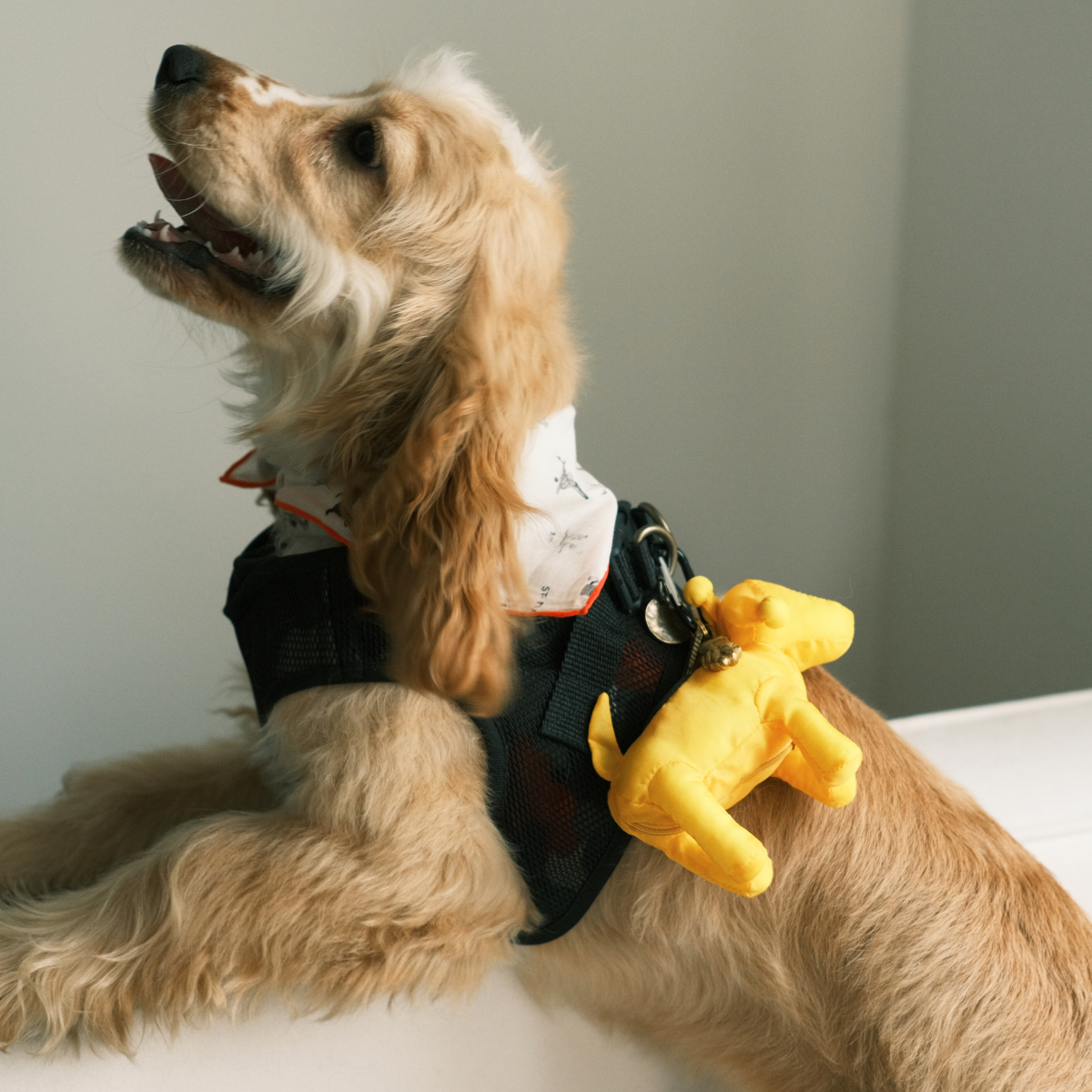 PomPaw_Poop_Bag_-_Yellow_-_LS_01_5ebd7369-382c-4b65-80bf-c8387d1e970c.png