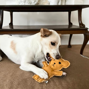 Robear Handmade Dog + Cat Toy