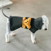Robear Handmade Dog + Cat Toy