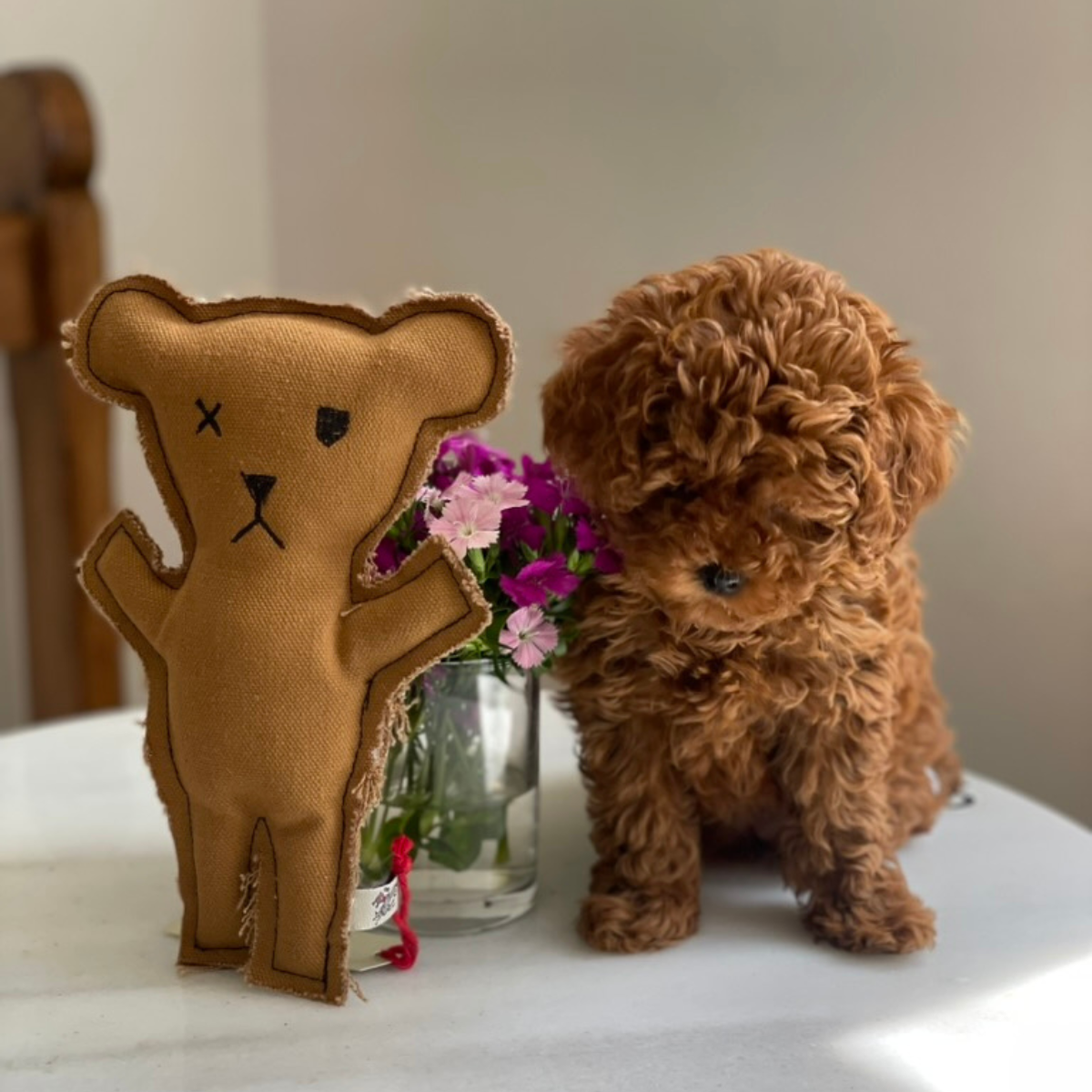 Robear Handmade Dog + Cat Toy