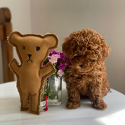 Robear Handmade Dog + Cat Toy