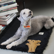 Robear Handmade Dog + Cat Toy