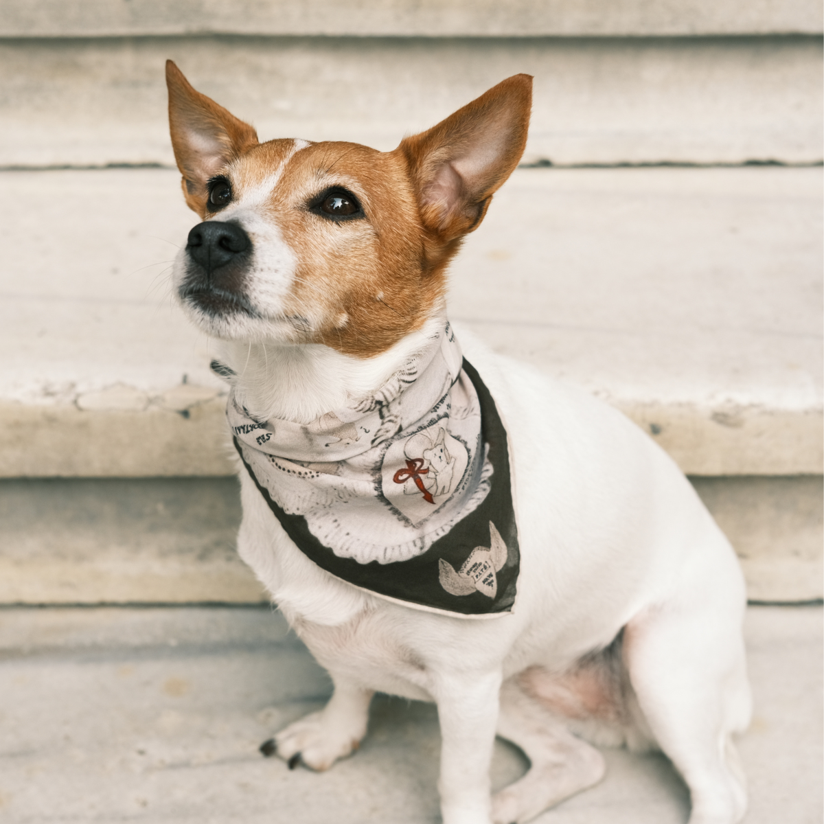 Ruff_Pet_Human_Bandana_-_LS_01.png