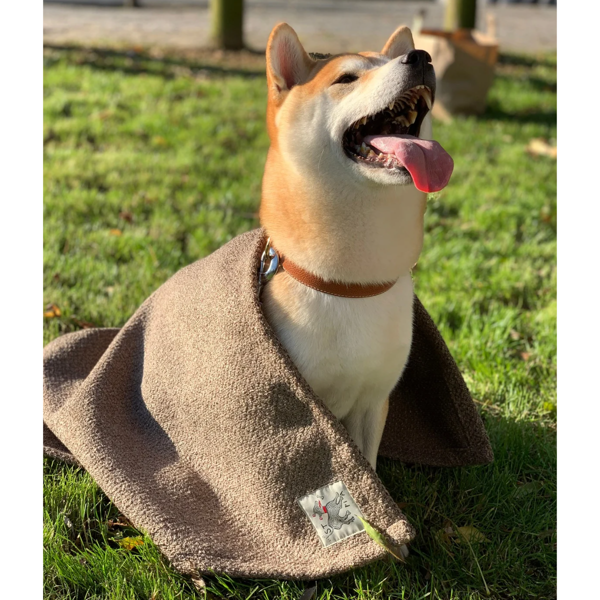 Sandy_Blankie_Pet_Blanket_Mat_-_without_fluff_-_Sandy_-_LS_02.png