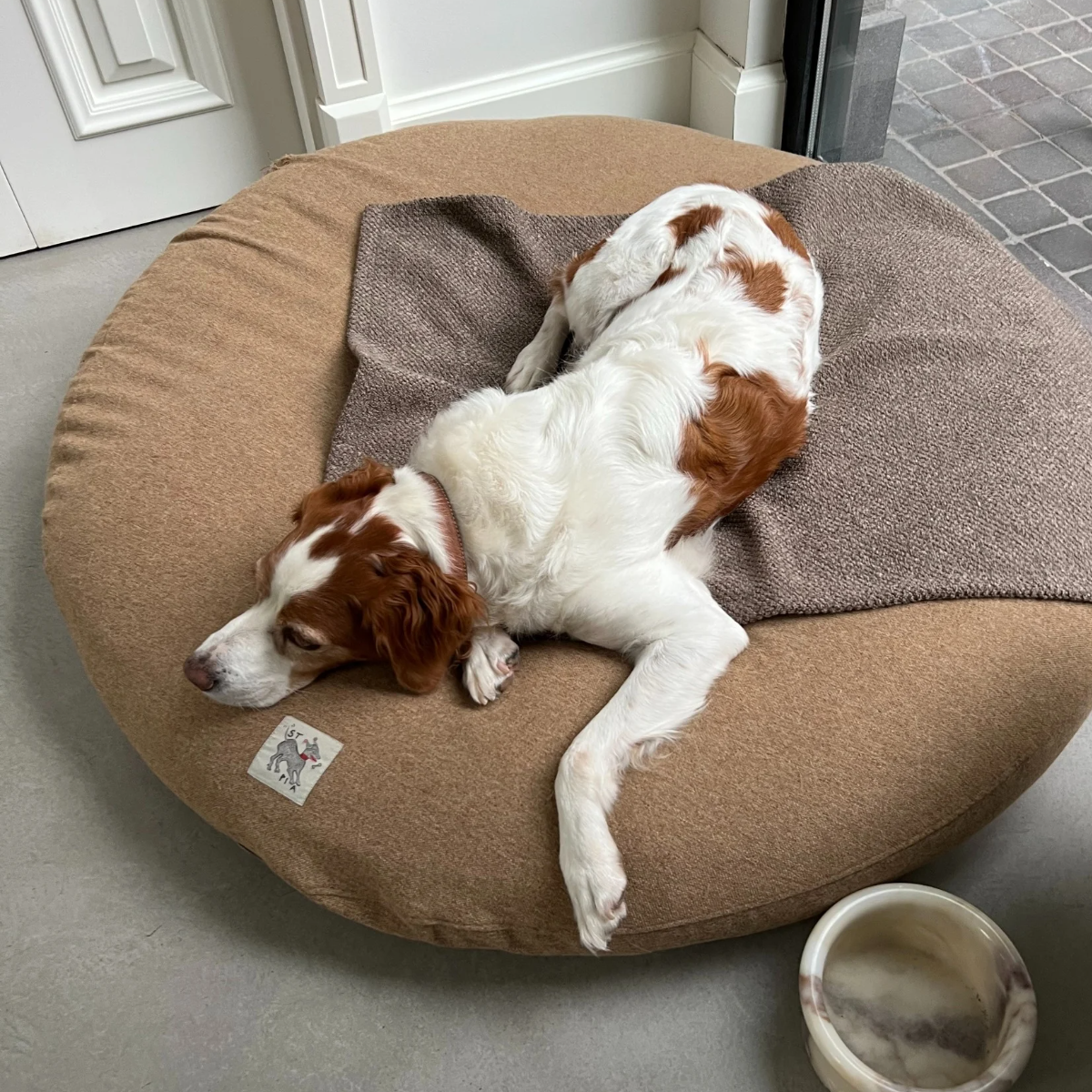 Sandy_Blankie_Pet_Blanket_Mat_-_without_fluff_-_Sandy_-_LS_03.png