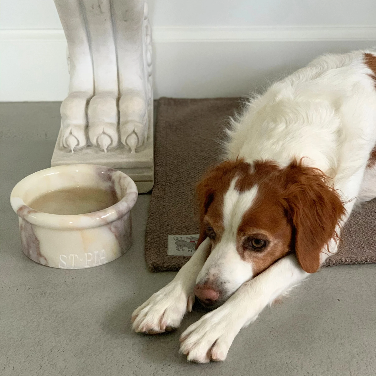 Sandy Blankie Pet Blanket + Mat