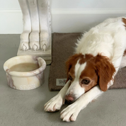 Sandy Blankie Pet Blanket + Mat