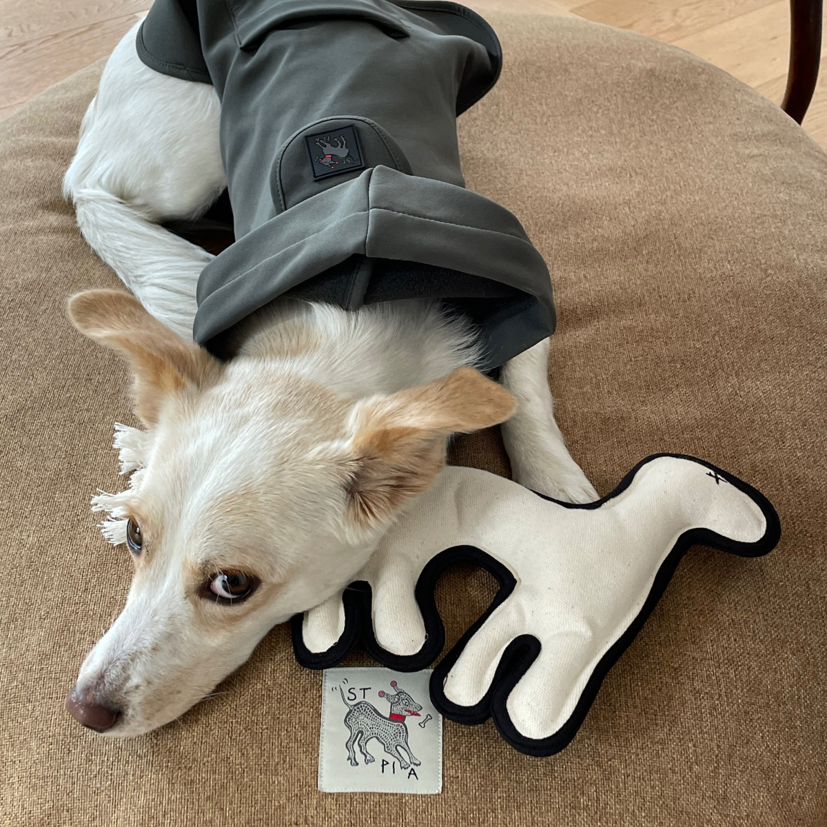 Spirit_Animal_Handmade_Dog_Cat_Toy_-_Cream_-_LS_01.png