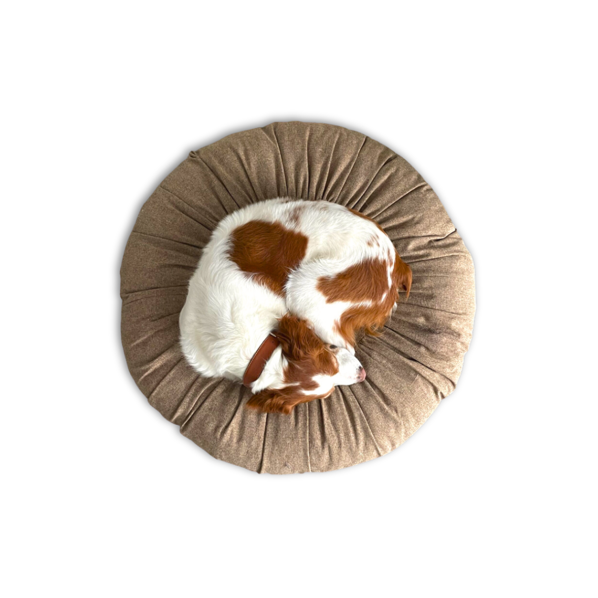 Toque_Dog_Cat_Bed_-_01.png