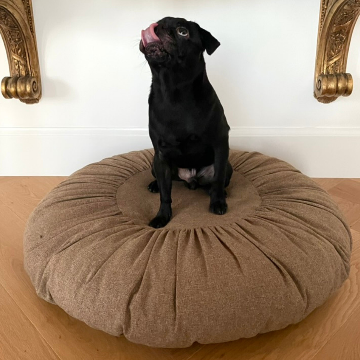 Toque_Dog_Cat_Bed_-_LS_01.png