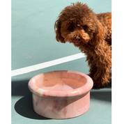 Marbowl Dog + Cat Bowl