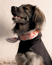 Blue Lovefold Pet + Human Bandana