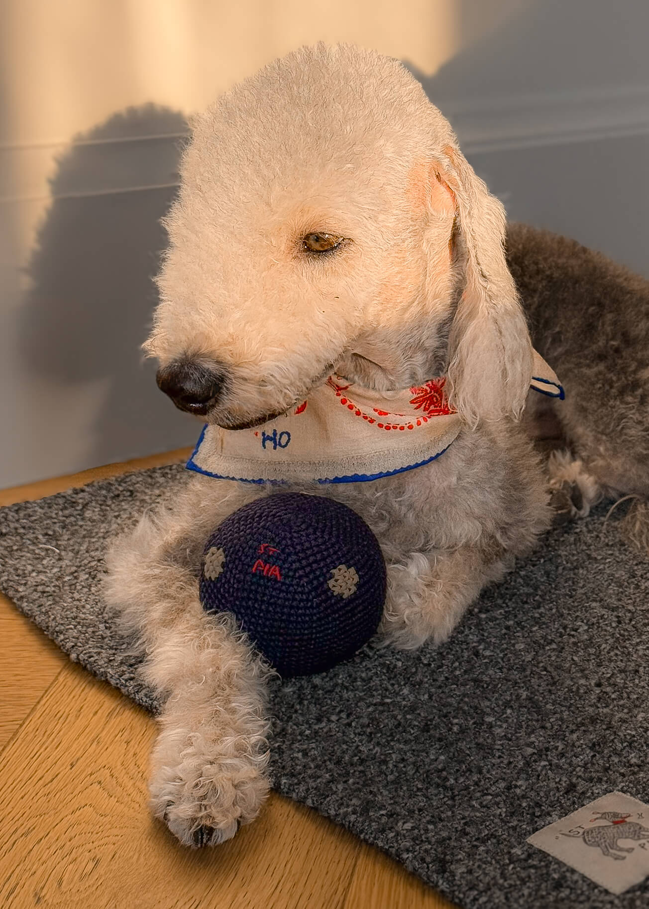 Blue Lovefold Pet + Human Bandana