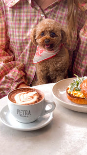 Red Lovefold Cotton Pet & Human Bandana