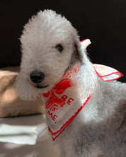 Red Lovefold Cotton Pet & Human Bandana
