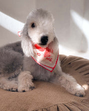 Red Lovefold Cotton Pet & Human Bandana
