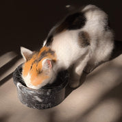 Marbowl Dog + Cat Bowl